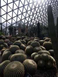 上海旅遊景點：全亞洲最大展覽溫室
