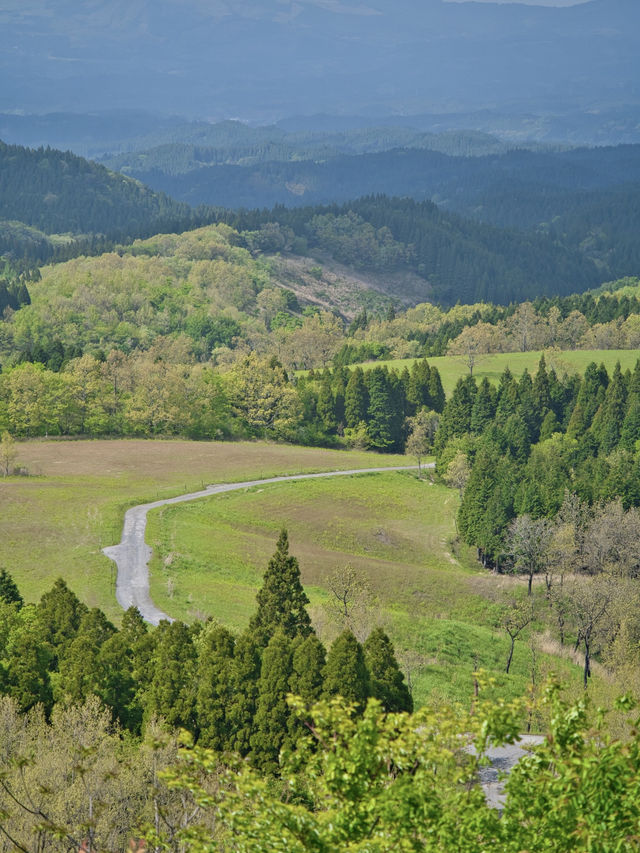【熊本】まるで絵画のような大地の風景🌳