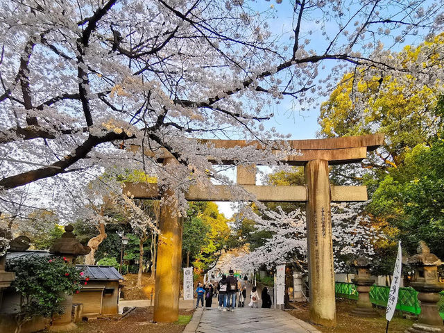 Ueno Toshogo Shrine
