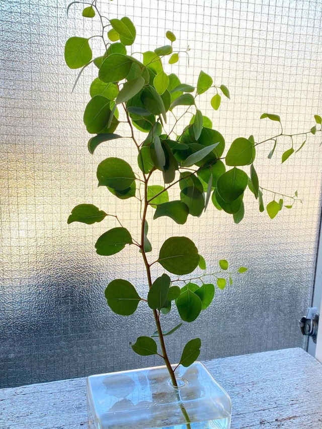 【福岡カフェ】野菜がたっぷりのスパイスカレーが楽しめる