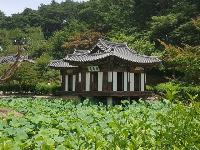 A symbol of Confucianism in Gangneung, Ojukheon