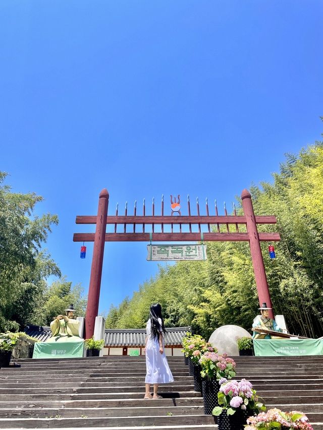 🎋 인생 첫 담양 여행 죽녹원 다녀왔어요!💚