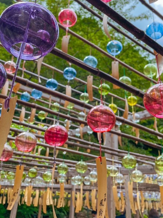 【京都】「2000個超えの風鈴」と「ハートの窓」が写真映えする夏の人気スポット