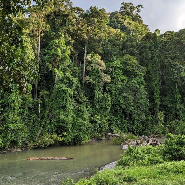 Danum Valley