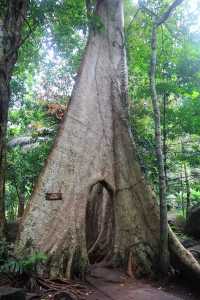 วัดเขาบรรจบ ประตูสวรรค์ อ.มะขาม จ.จันทบุรี