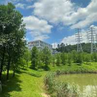 ```東湖公園～適合放鬆的綠色勝地```