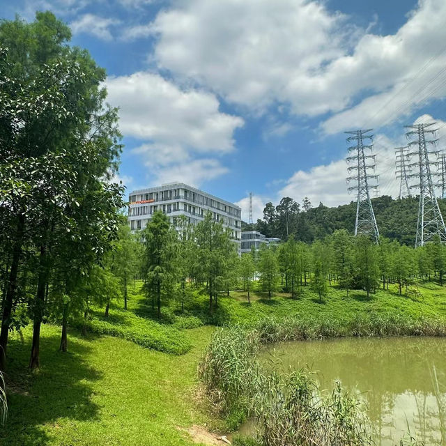 ```東湖公園～適合放鬆的綠色勝地```
