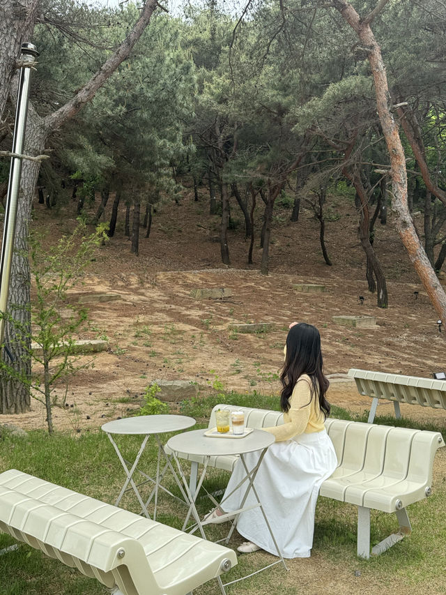 인생샷 남기러 방문해보세요 >< ✨