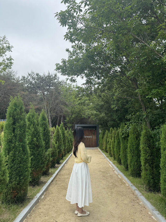 인생샷 남기러 방문해보세요 >< ✨