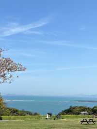 福岡後花園～終於見到油菜花田