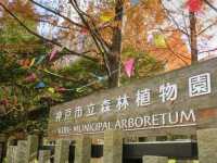 神戶市立森林植物園