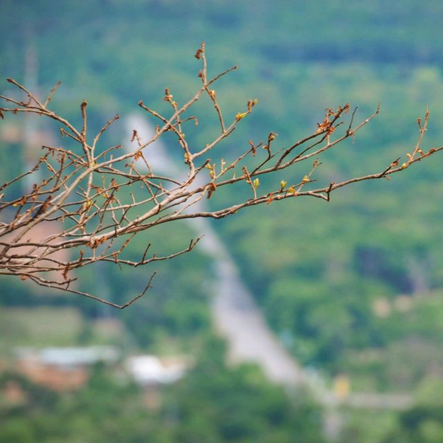 จุดชมวิวผาแดง อช.ตราพระยา