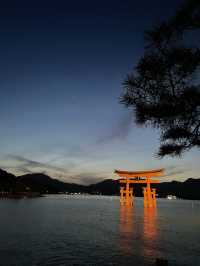 朝昼晩干潮満潮いつ行っても美しい厳島神社