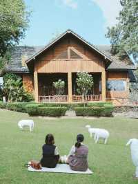 ⛺️ นอนเต็นท์โดมริมแม่น้ำแควที่ Heaven Kwai Resort