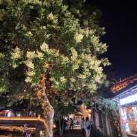 Night life at Tongli Ancient Town
