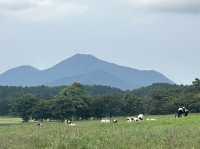 【鳥取】美味しいハンバーガーと絶景♡