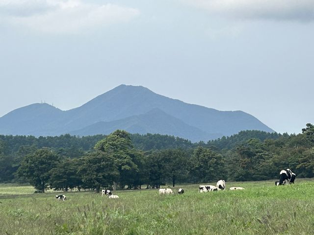 【鳥取】美味しいハンバーガーと絶景♡