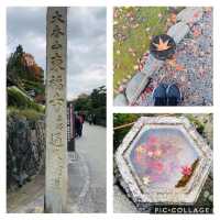 【京都観光】京都の紅葉スポット