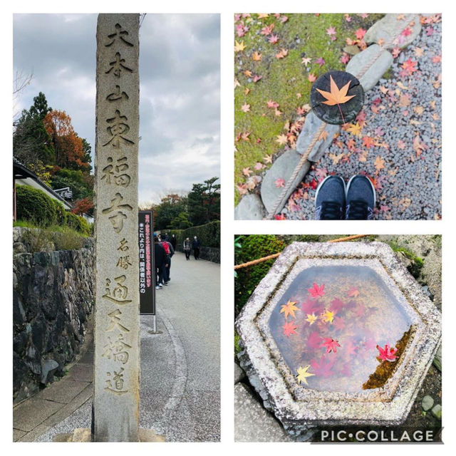 【京都観光】京都の紅葉スポット