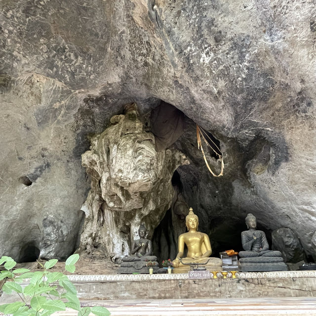 ป่า+อาราม งามแท้ @วัดถ้ำเขาวง