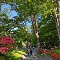 【日光】雄大な自然の景色！華厳の滝