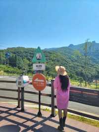 올여름 거제여행 필수코스는 여기💚