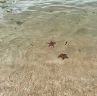 Starfish beach in Phu Quoc 