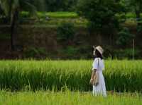 ปู๋ ป๋าล์ คันนา ปัว - Pupah Kanna Pua น่าน