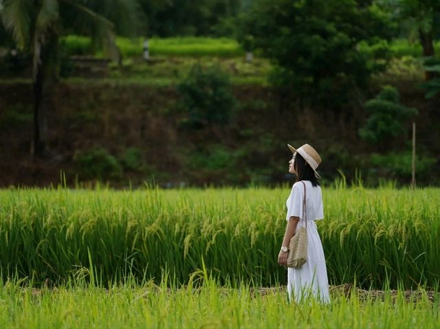 ปู๋ ป๋าล์ คันนา ปัว - Pupah Kanna Pua น่าน