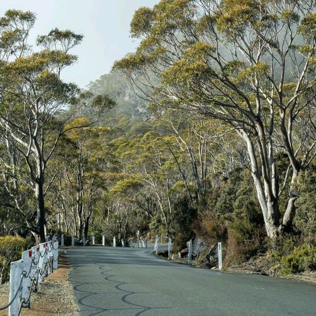 Discover Tasmania's East Coast 🇦🇺🌊