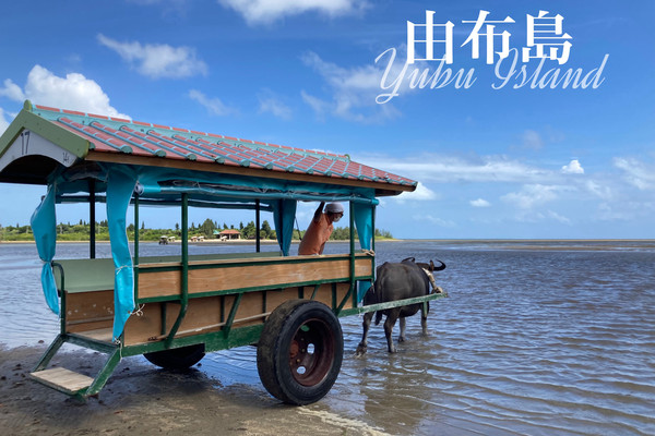 沖縄】水牛車に乗って由布島に行こう🏝️ | Trip.com 竹富町