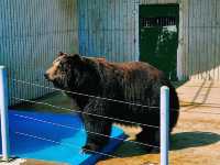 The Jinyangho Zoo 진양호동물원
