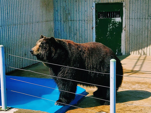 The Jinyangho Zoo 진양호동물원