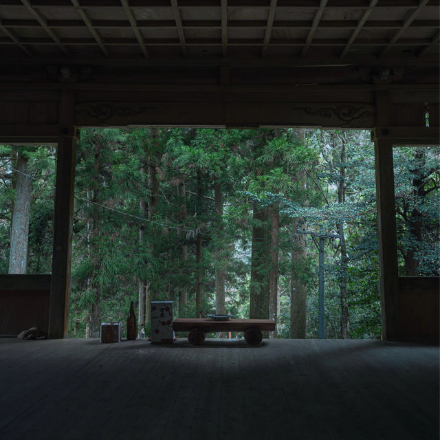 滝山に鎮座する苔むすの神社