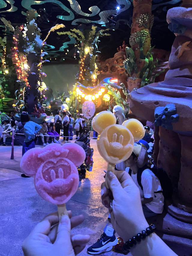 日本東京🇯🇵 Disneysea迪士尼海洋樂園🏰