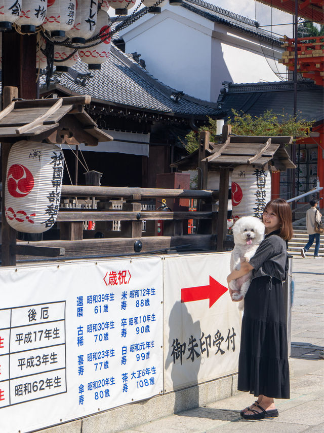 🐶OK✨知ってた？八坂神社に美容水がある✨気になるところに浸すだけ✨この夏ぜひ💫