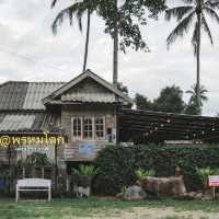 🍃 มาซูดโอโซนที่ พรหมโลกแคมป์ไซต์คาเฟ่