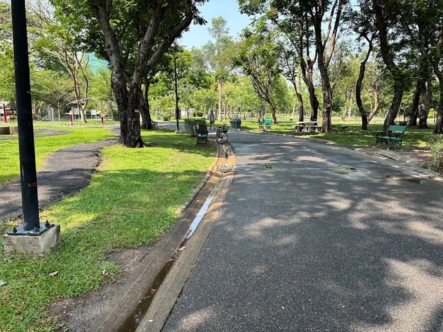 🌳สวนจตุจักร (BTS หมอชิต/ MRT จตุจักร)