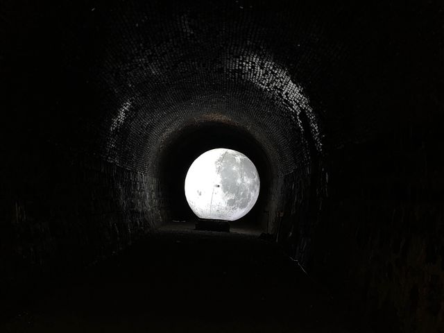 "와인과 함께하는 청도의 숨은 보석, 와인터널! 