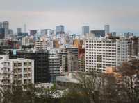 Mount Moiwa