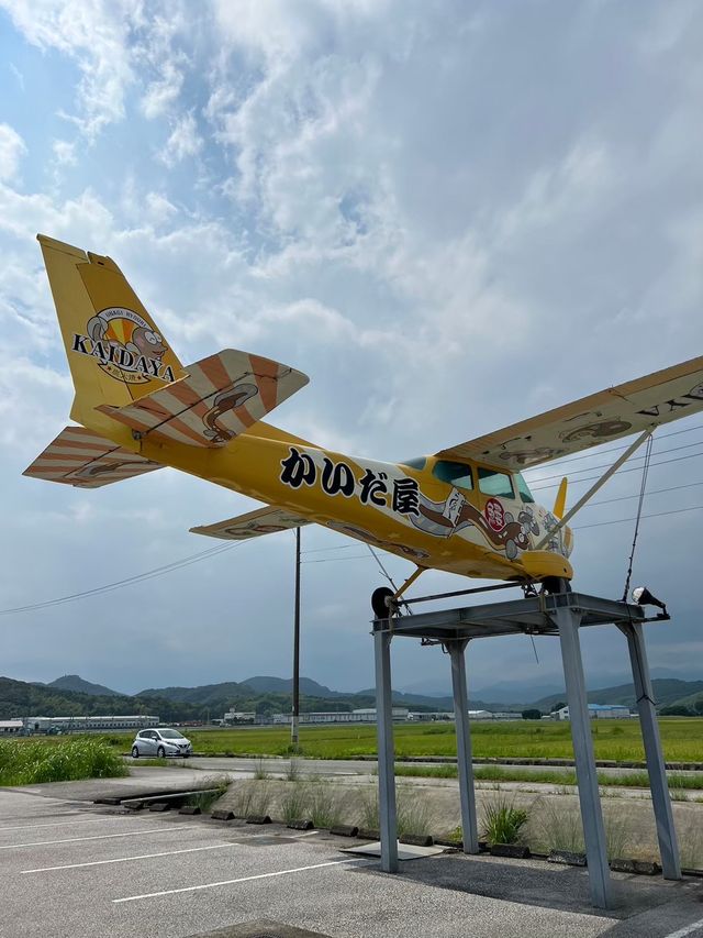 高知 / 並んででも食べたい鰻屋