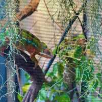 Ethos Forest: A Hidden Gem in Karak