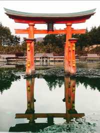 夏休み海外旅行いけない😢？！そんな時は栃木で世界一周旅行しませんか？🌏✈️💫