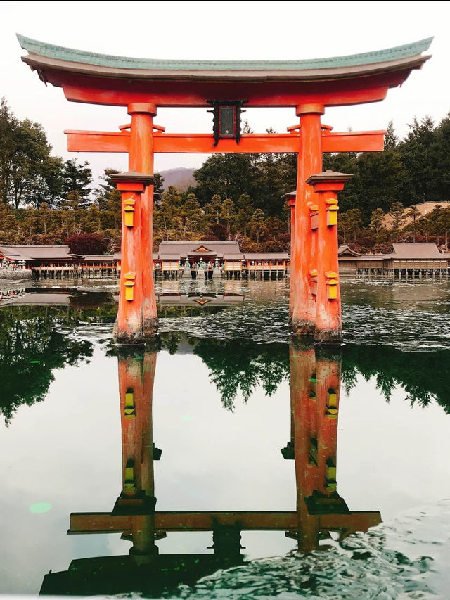 夏休み海外旅行いけない😢？！そんな時は栃木で世界一周旅行しませんか？🌏✈️💫