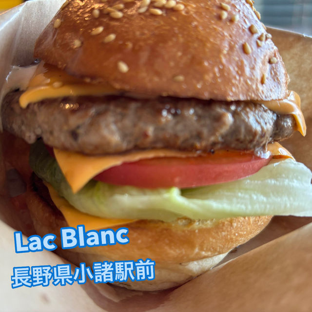 ガッツリ美味しいハンバーガー🍔