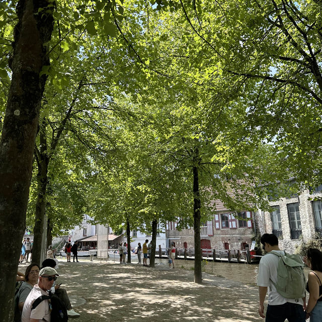 Brugge in 24 hours: A quick guide🔎⭐️