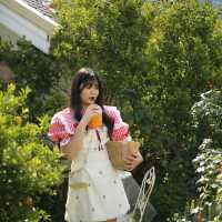 สวนส้มจินจู