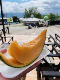 【北海道:中富良野】夏限定の絶品スイーツ「とみたメロンハウス」