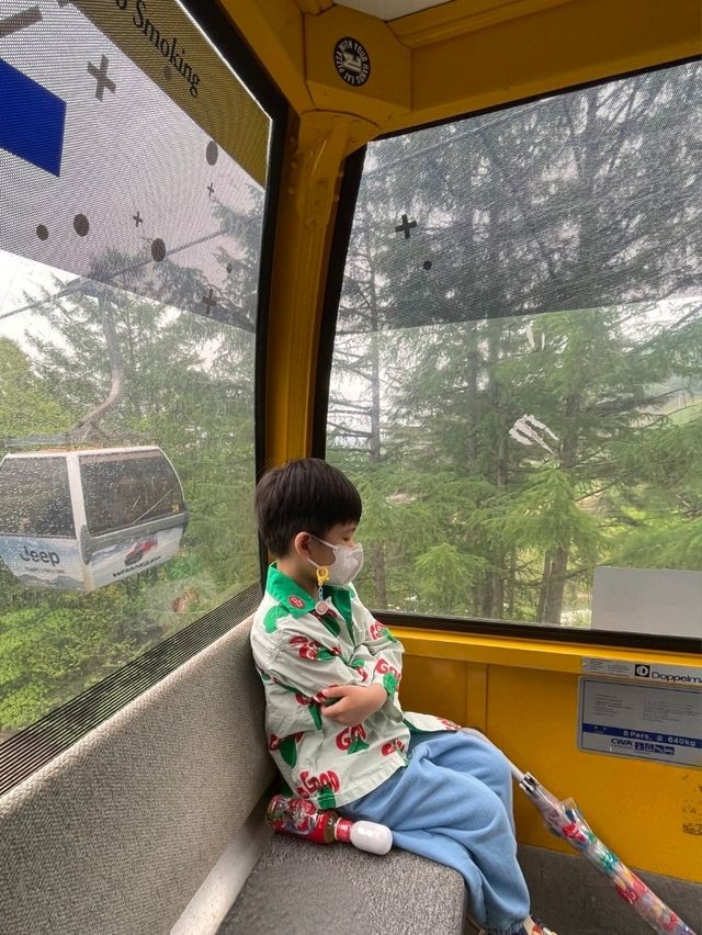 케이블카를 타고 정상에 올라가면!