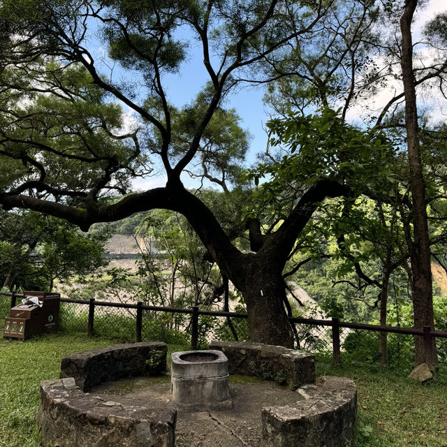 葵青區的城門水塘